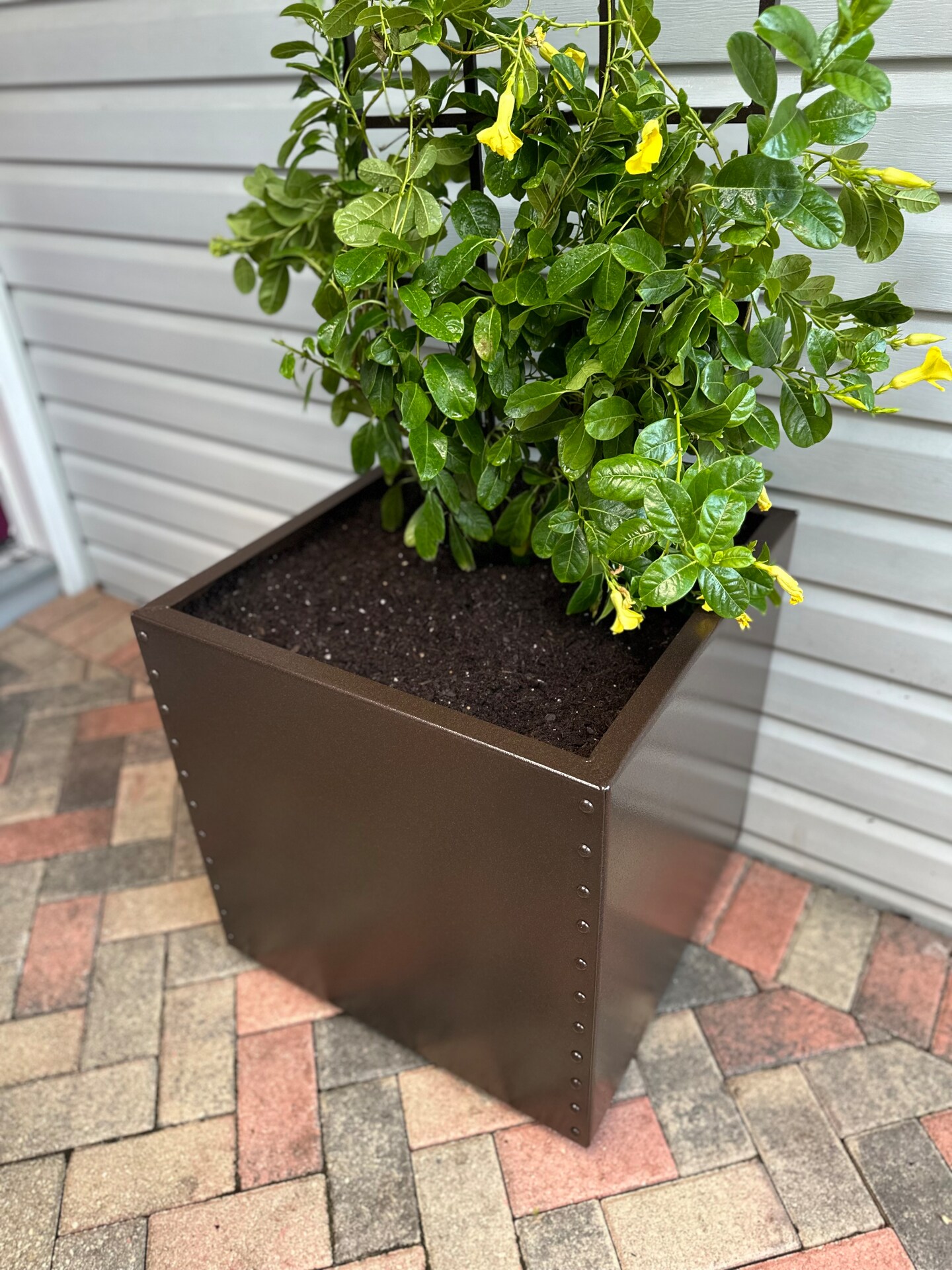 Siesta Village Square Metal Planter Box, 22, All Aluminum, Non-Rusting,  Rivet Detailing, Modern, Industrial Style, Multiple Color Options |  MakerPlace by Michaels