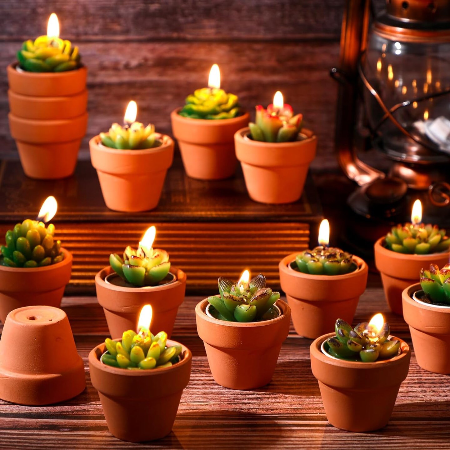 36-Pieces Succulent Tealight Candles