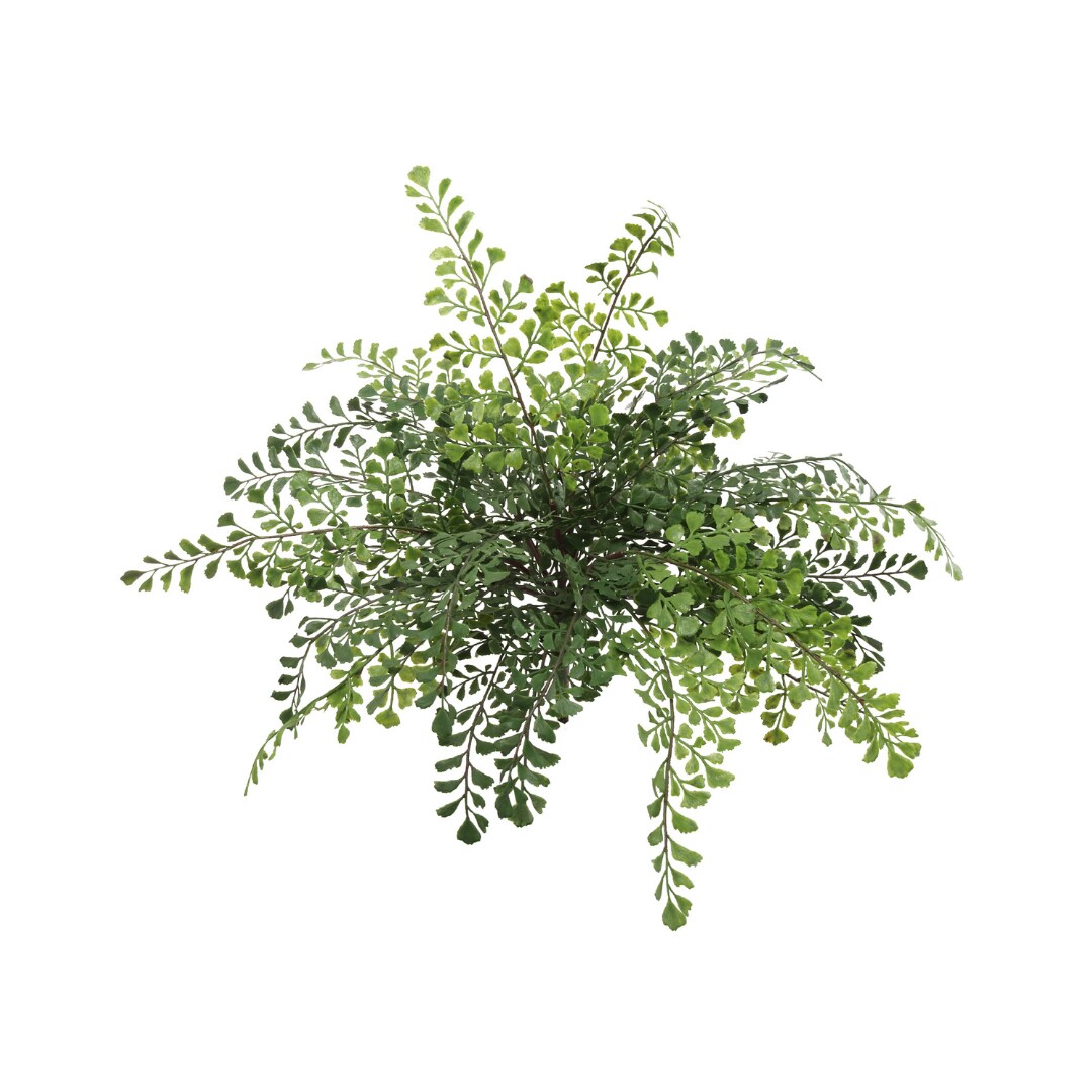 12-Pack: 15&#x22; Maidenhair Fern Bush with Lifelike Fronds by Floral Home&#xAE;