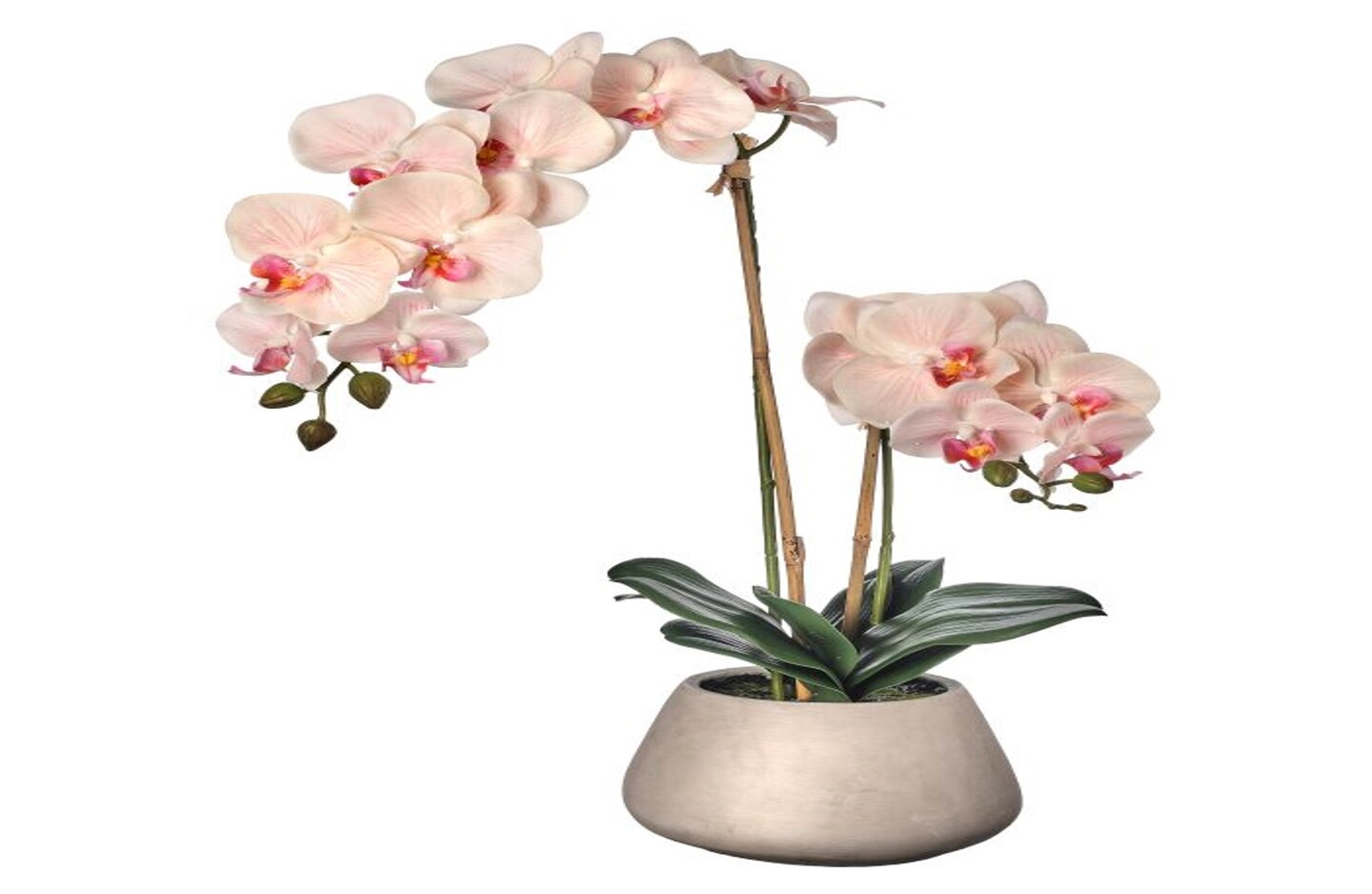 Real Touch Phalaenopsis Orchid in Cement Pot 24&#x22;