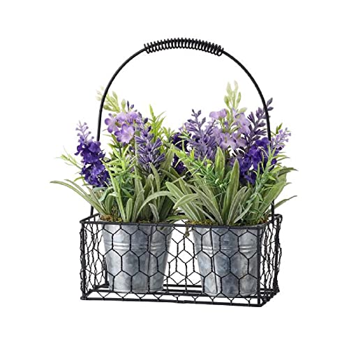 Potted Lavender in Metal Basket, 9-Inch Height