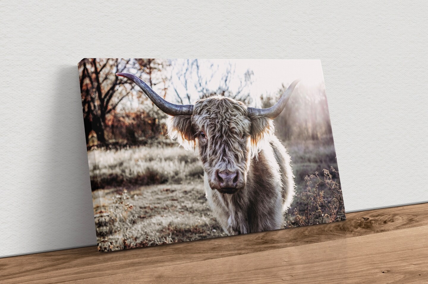 Highland cow canvas, cow nursery, large Scottish Highland wall art ...