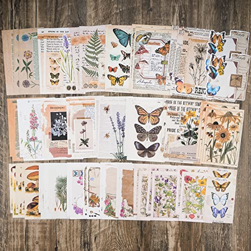 Knaid Vintage Scrapbook Supplies Pack (200 Pieces) for Junk Journal Bullet Journals Planners Botanical Paper Stickers Craft Kits Aesthetic Cottagecore Collage Album (Nature)