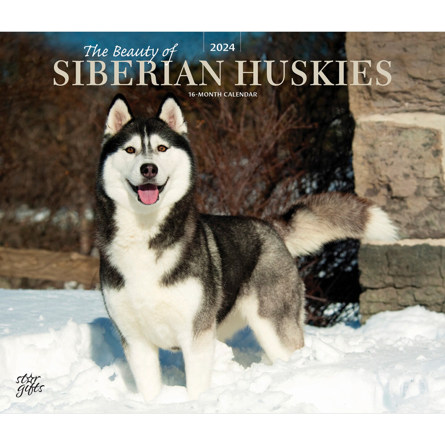 The Beauty of Siberian Huskies 2024 14 x 24 Inch Monthly Deluxe Wall