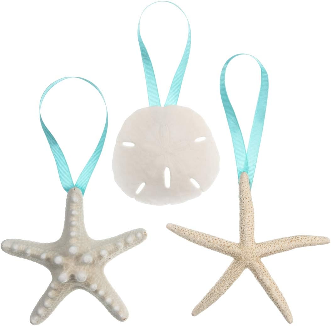 Shell Ornaments Christmas Ornaments for Tree 3 Pack Hanging Knobby Starfish, Finger Starfish and Sand Dollar w/Turquoise Ribbon
