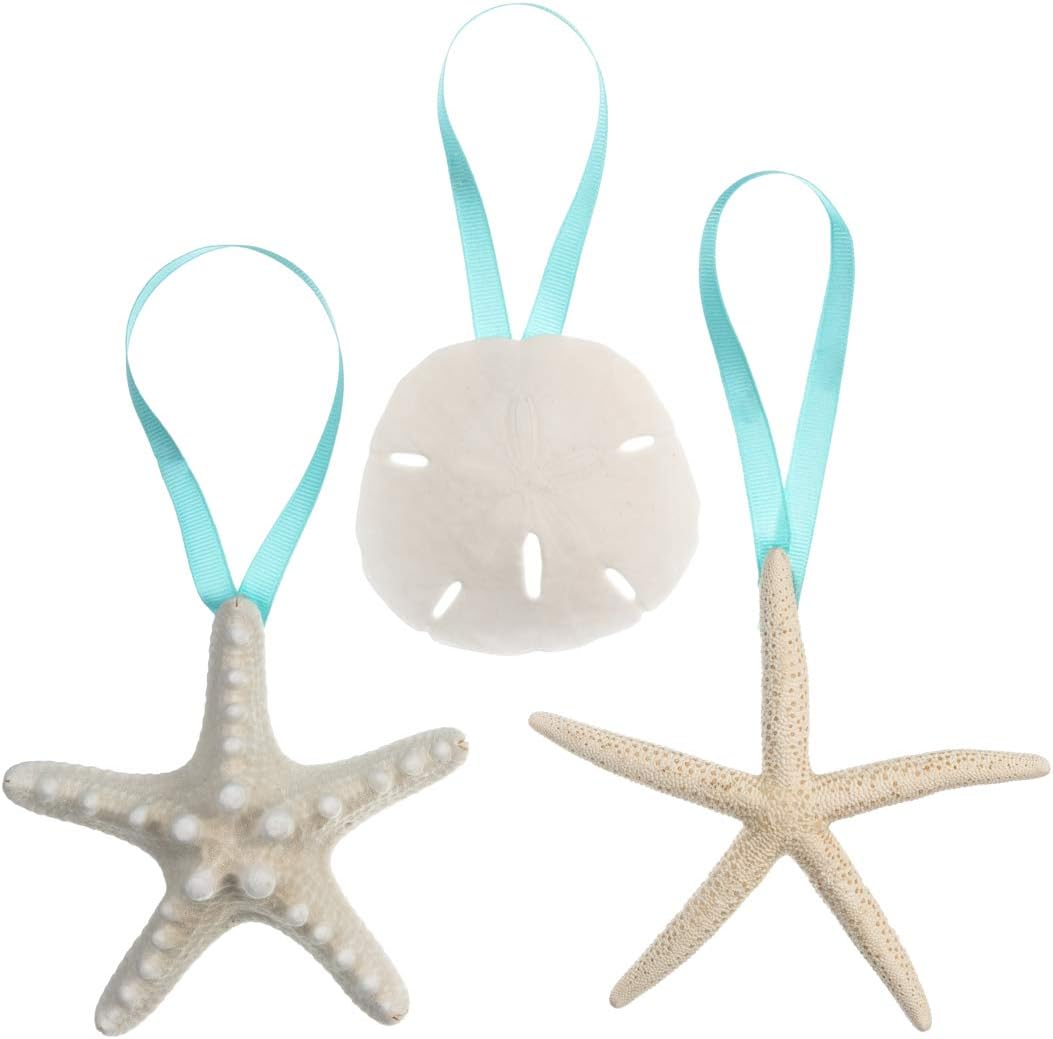 Starfish 10 Pack Green Blue & White Assorted Star Fish 2-4 Inch Starfish  for Crafts and Decor - Nautical Crush Trading