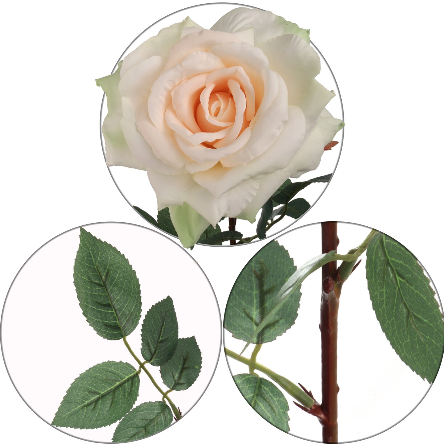 12-Pack: Champagne Queen Anne Rose Stems with Lifelike Silk Foliage - Perfect for Bouquets, Floral Arrangements & Home Decor - Floral Home by Artificial Flowers