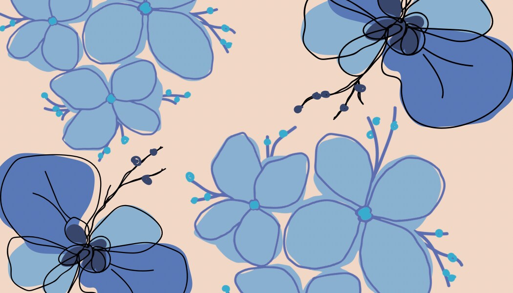 storefront banner