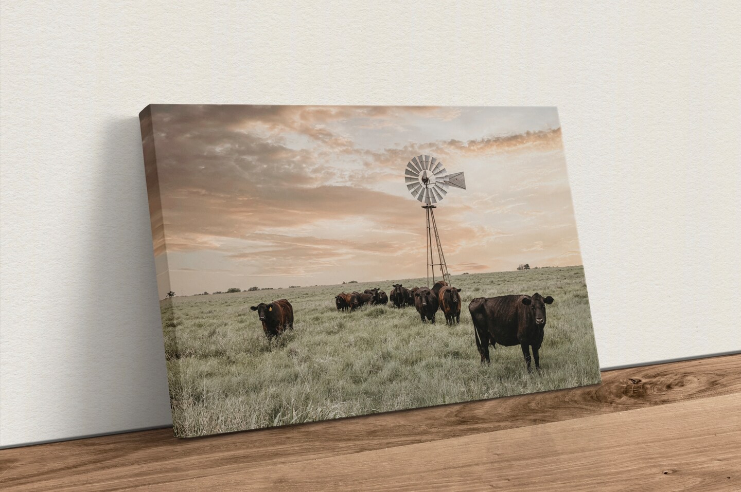 Old windmill and Black Angus cattle, cow canvas photo wall art, western  home decor, above couch wall decor, rustic wall art