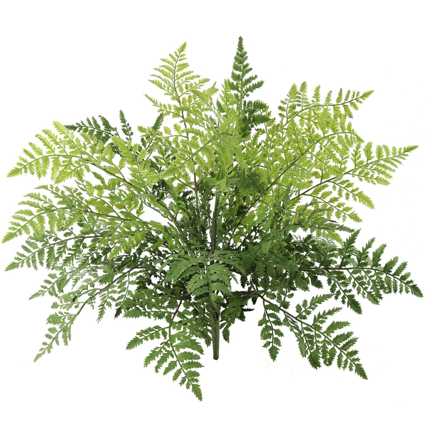 6-Pack: UV Leather Fern Bush with 7 Sprays, 28&#x22; Wide by Floral Home&#xAE;