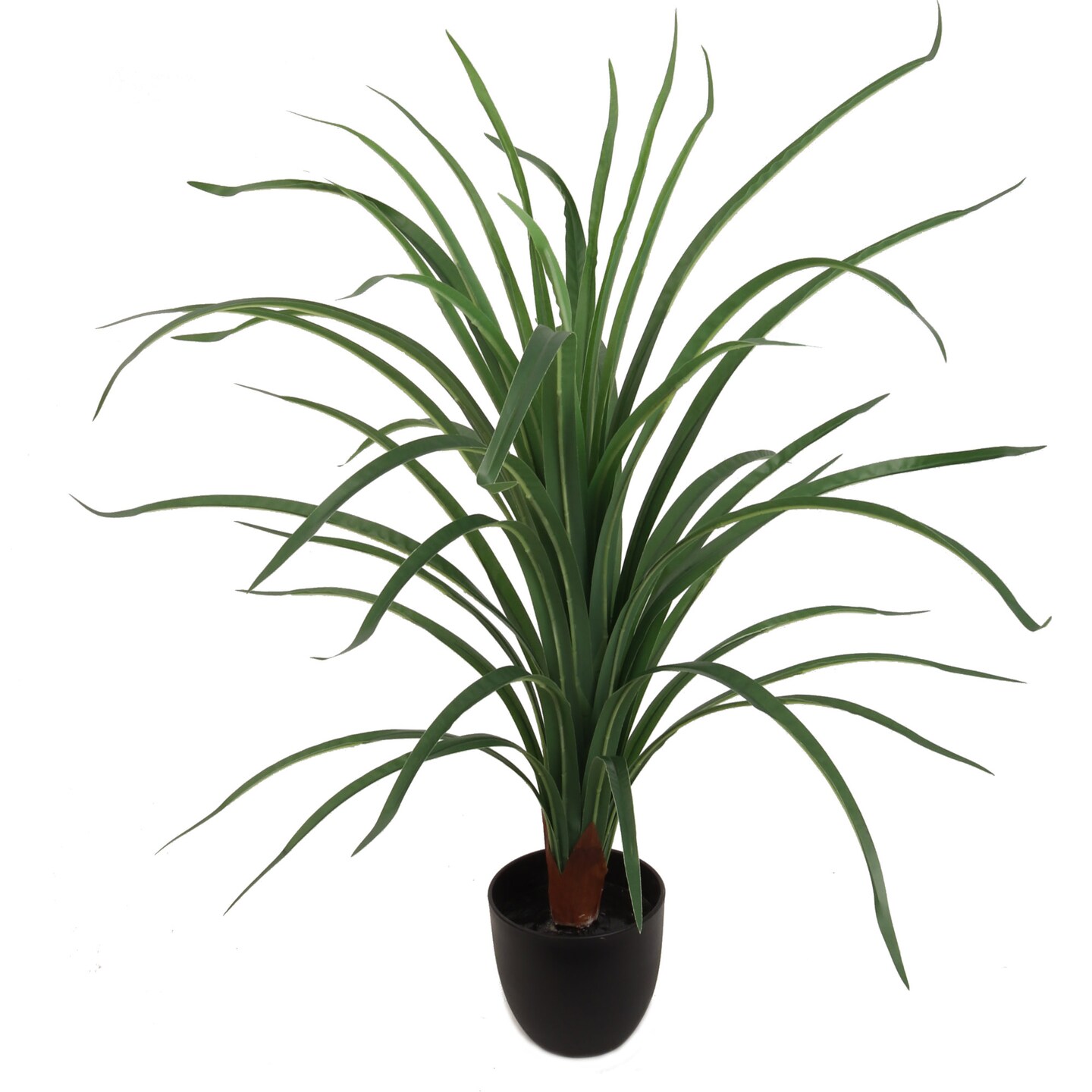 28-Inch Dracaena Plant in Black Pot | 40 Real Touch Silk Leaves | Indoor  Use | Modern Accents | Faux House Plants | Home & Office Decor | Michaels