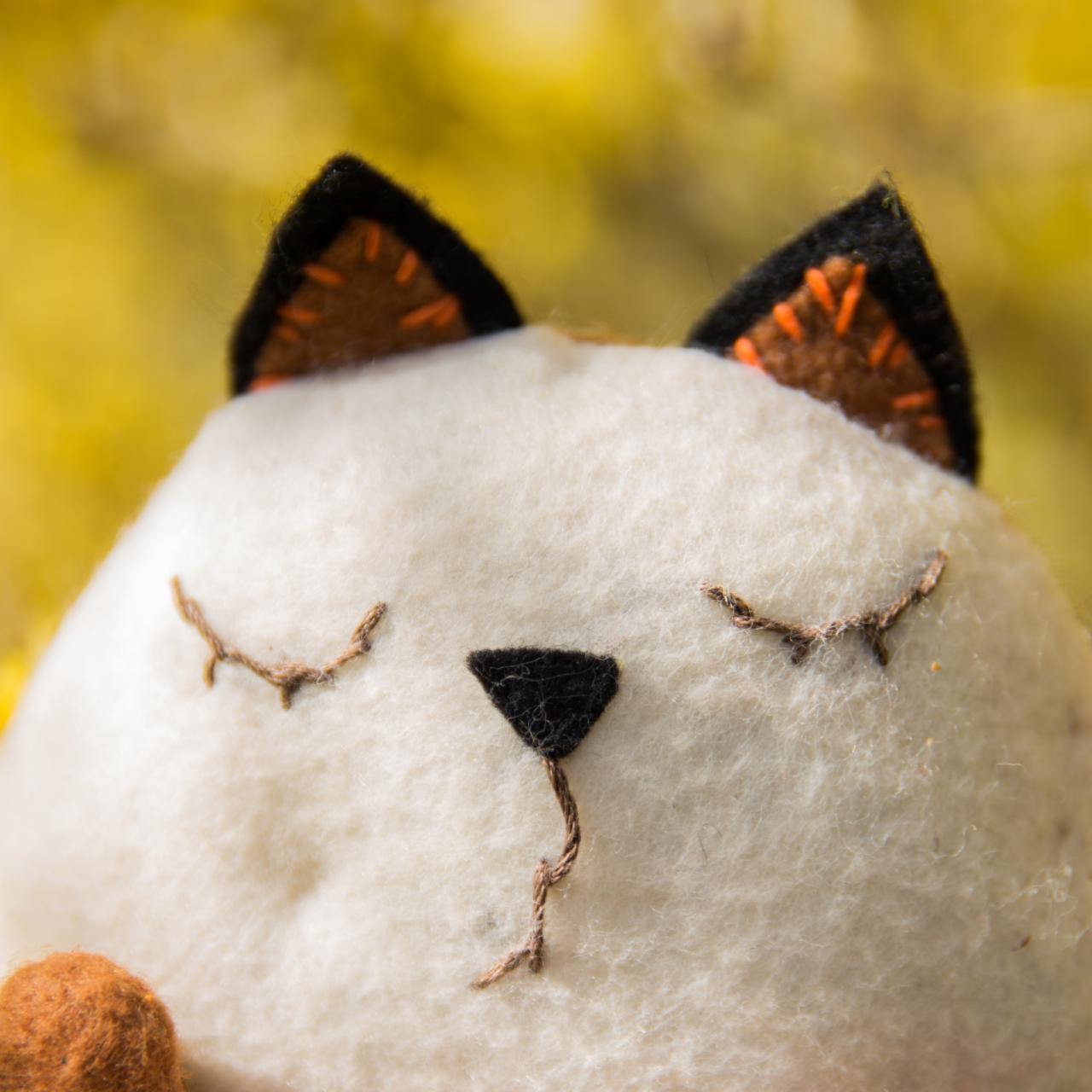 Felting kit  Favourite