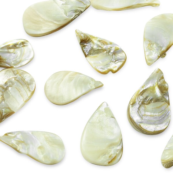 Drop Shape Shellin Sea Shell Hand Crafted Fan/Drop Shape Beads/Pendants Natur | Michaels