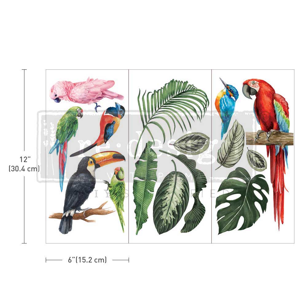 Tropical Birds - Small Transfers 6x12 3 sheets Rub on Transfers for  Furniture Vintage Rub on Transfers Stickers for Crafts Classic Spring  Summer Autumn Decoration Transfers