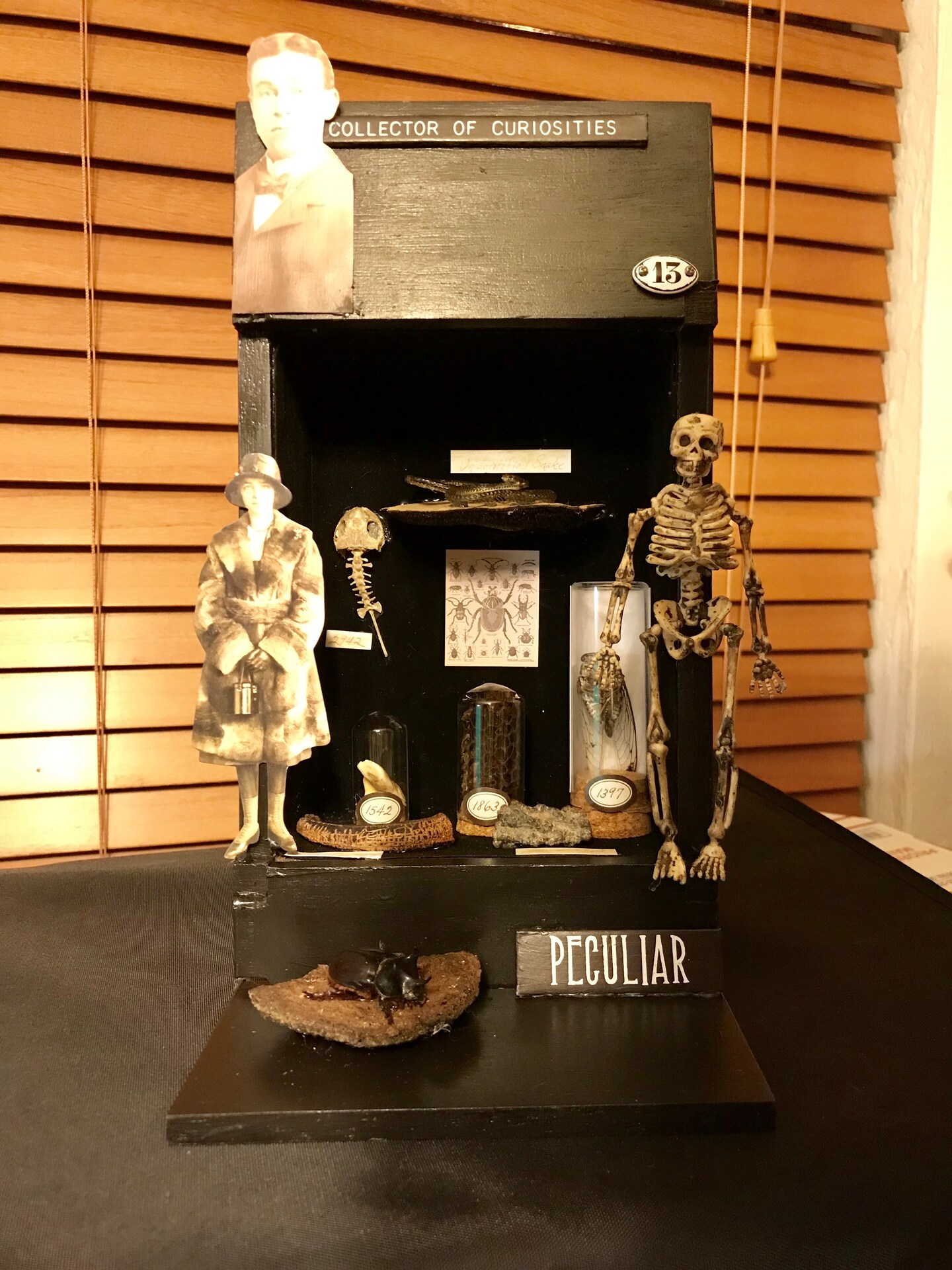 How-To name is Cabinet of Curiosities cigar box