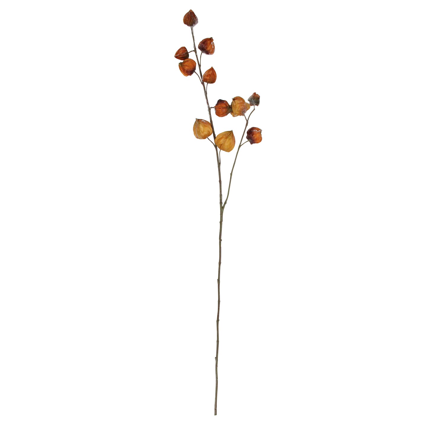 Allstate Frosted Chinese Lantern Artificial Christmas Spray - 36" - Orange and Brown