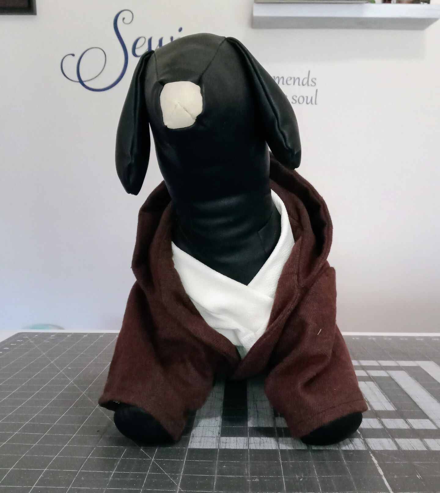 Jedi dog costume, Star Wars dog costume, Obi Wan Kenobi dog outfit, Halloween dog costume, costumes for dogs product 2