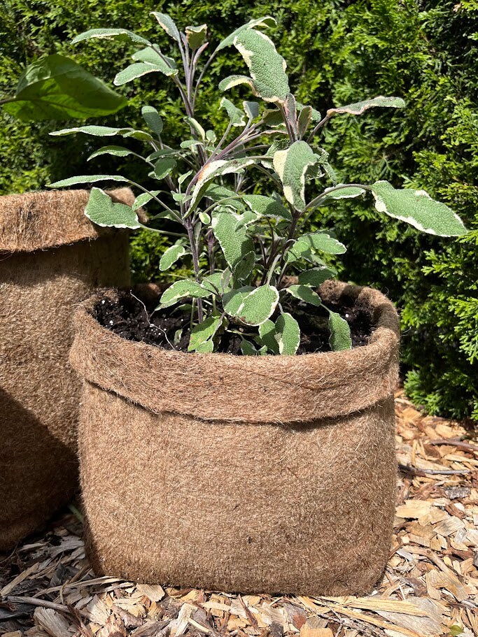 Hemp Planters - Grow Bags