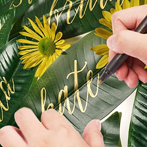 BOXUN Metallic Markers Pen for Rock Painting - Medium Point, Metallic Color Paint Markers for Ceramic Painting, Glass,Mug, Plastic, Photo Album, Card Making, 10 Colors