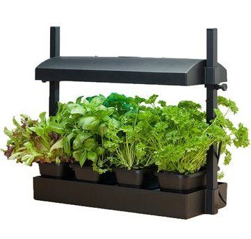 LED Microgreen Grow System - Everything you Need!
