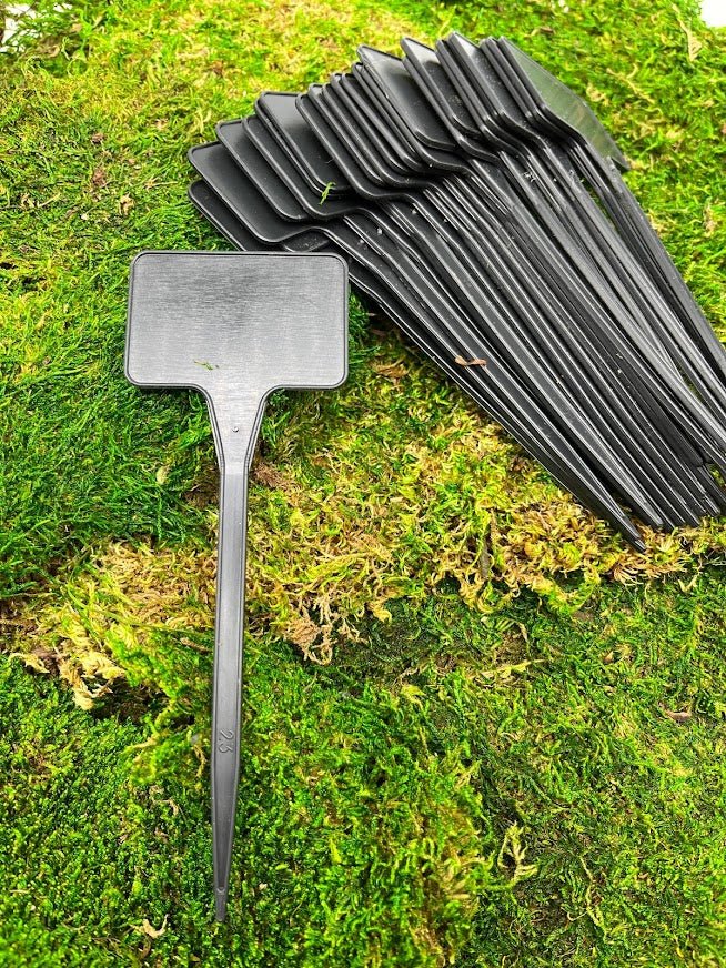 Plant ID Labels - 6&#x22; Black