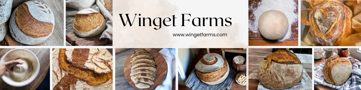 storefront banner