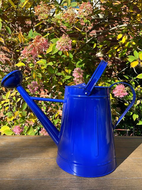 Large Watering Can - FUN COLORS | Michaels