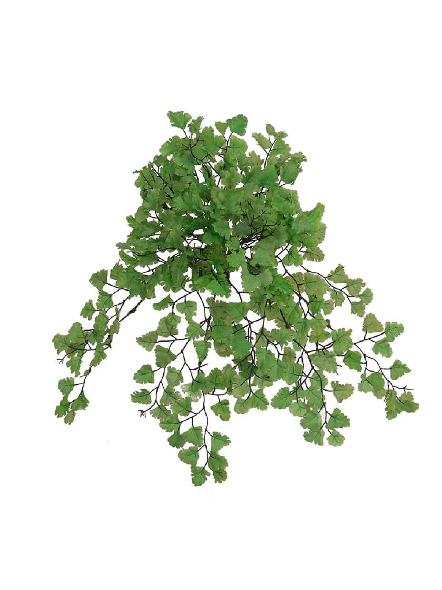 12Pack Maidenhair Fern Bush with 23 Silk Fronds, 23" Wide, UV Resistant, Faux Greenery by