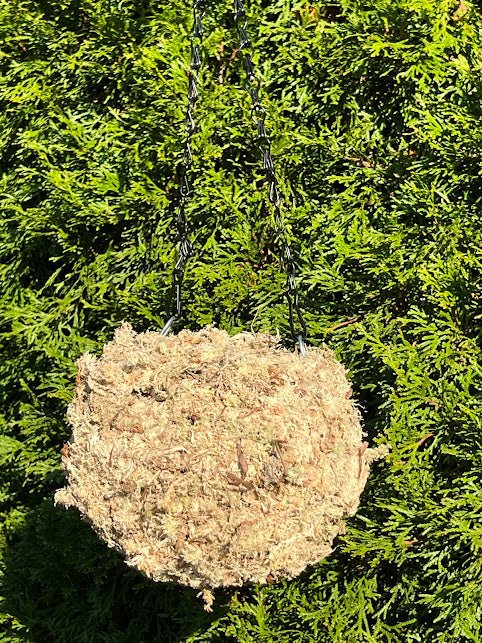 6&#x22; MOSS Hanging Planter -  Ball NATURAL
