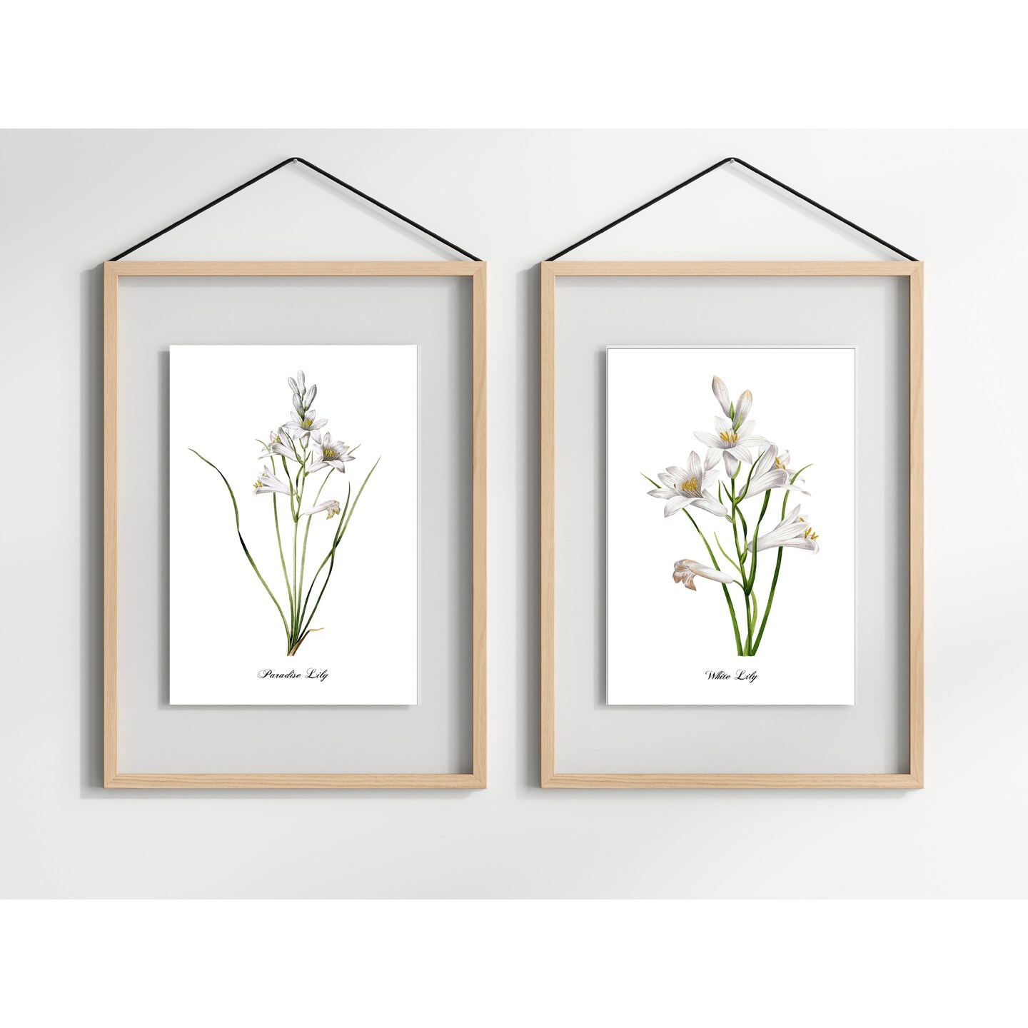 FLORAL ART PRINTS. White Lilies. Set of Two Prints. Vintage Restored ...