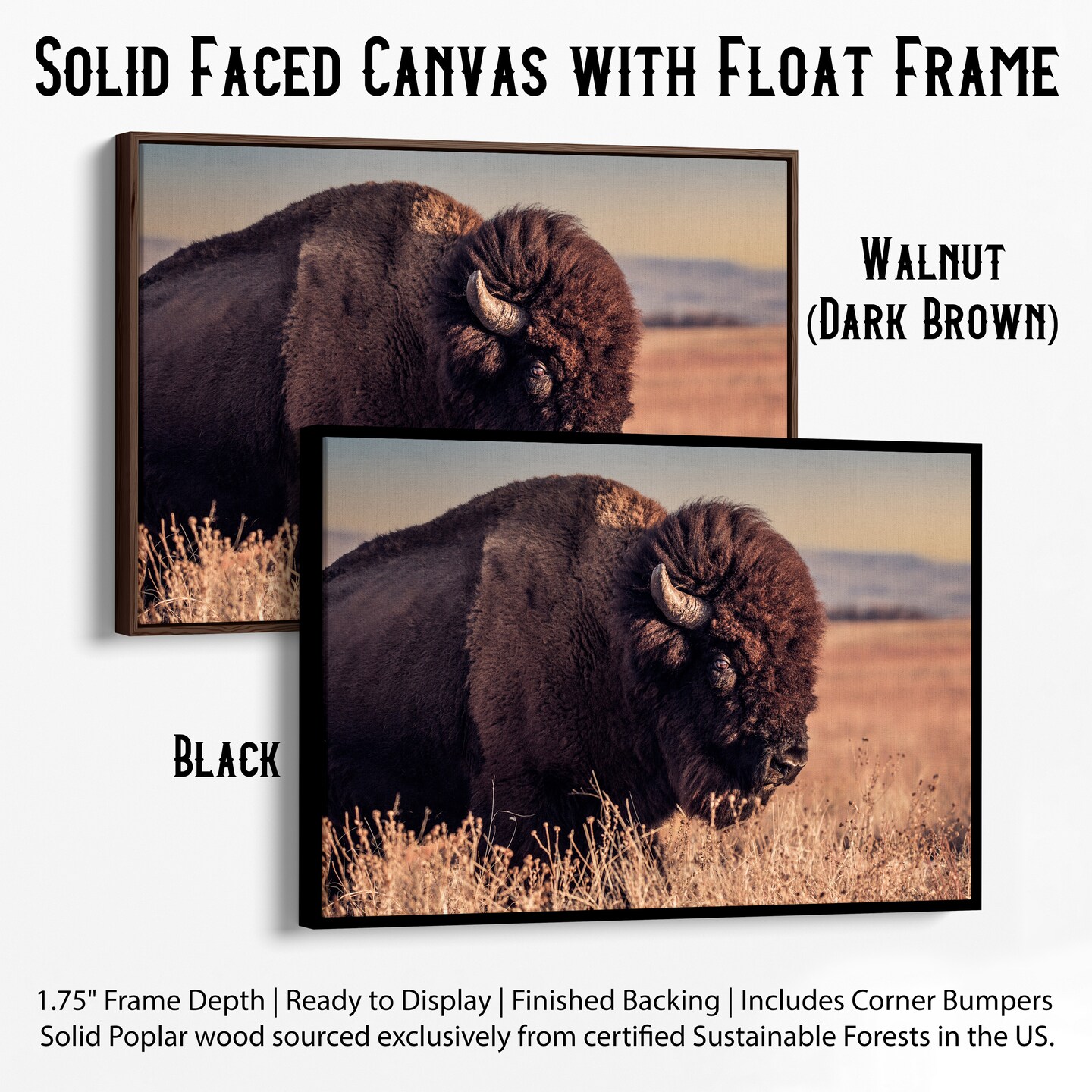 Bison art, buffalo painting canvas print, western decor, large photo ...