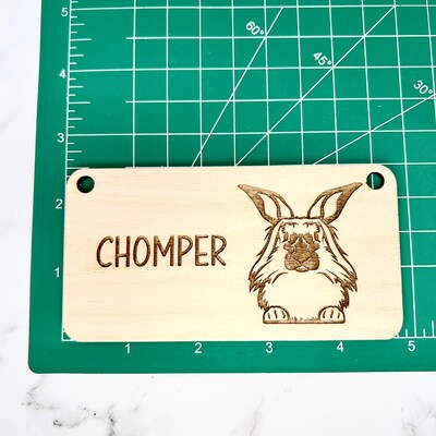 Lionhead Rabbit, Bunny Name Tag, Rabbit Name Tag, Bunny Accessories for ...