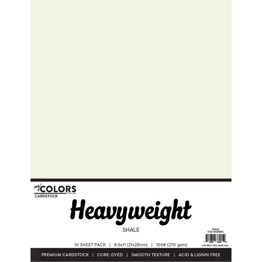 My Colors 100lb Heavyweight Cardstock 8.5&#x22;X11&#x22; 10/Pkg-Shale