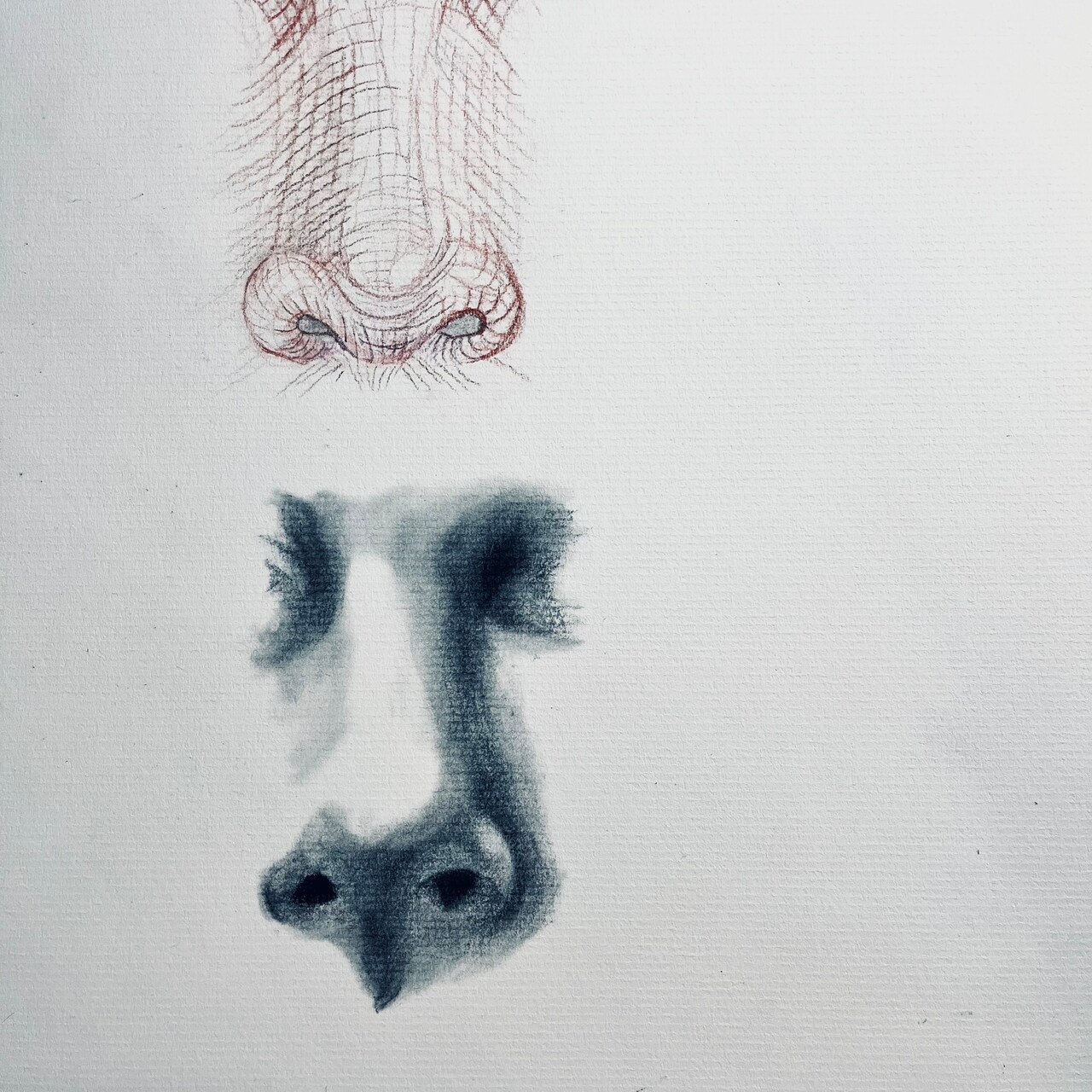 Drawing Noses Using the Planes of the Face, Part I | Classes | Michaels