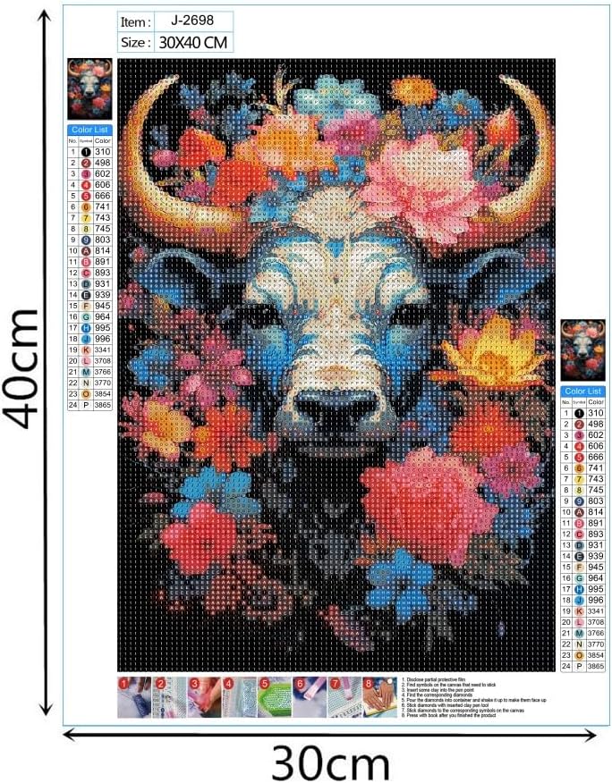Decorative Diamond Art Painting Kits