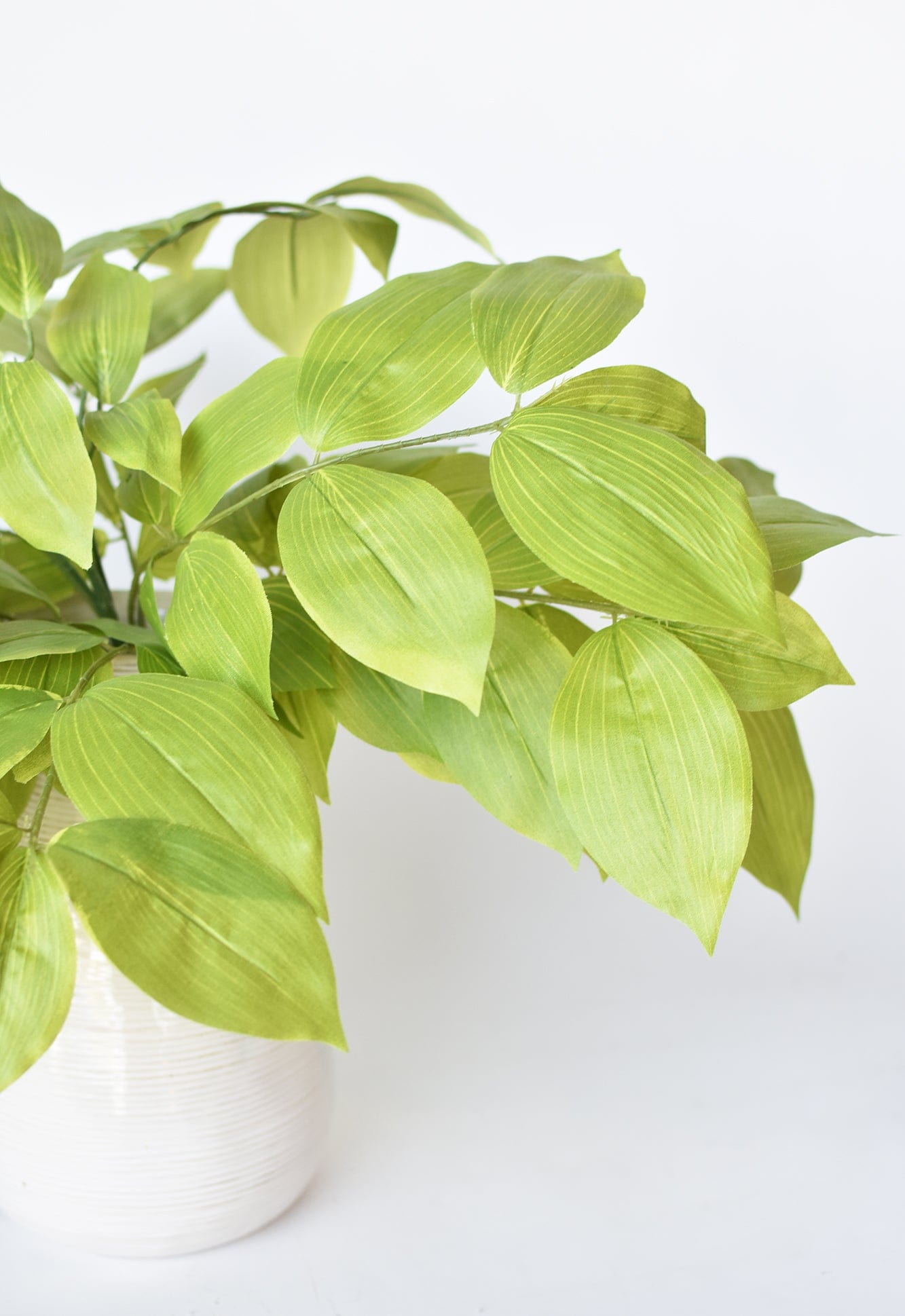 18&#x22; Faux Fat Acuba Bush