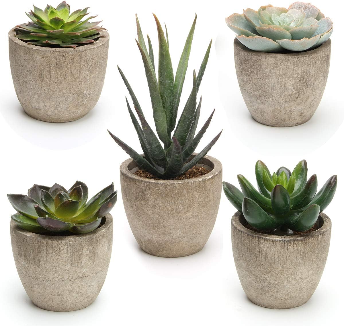 Fake Cactus Plants with Pots Set of 5