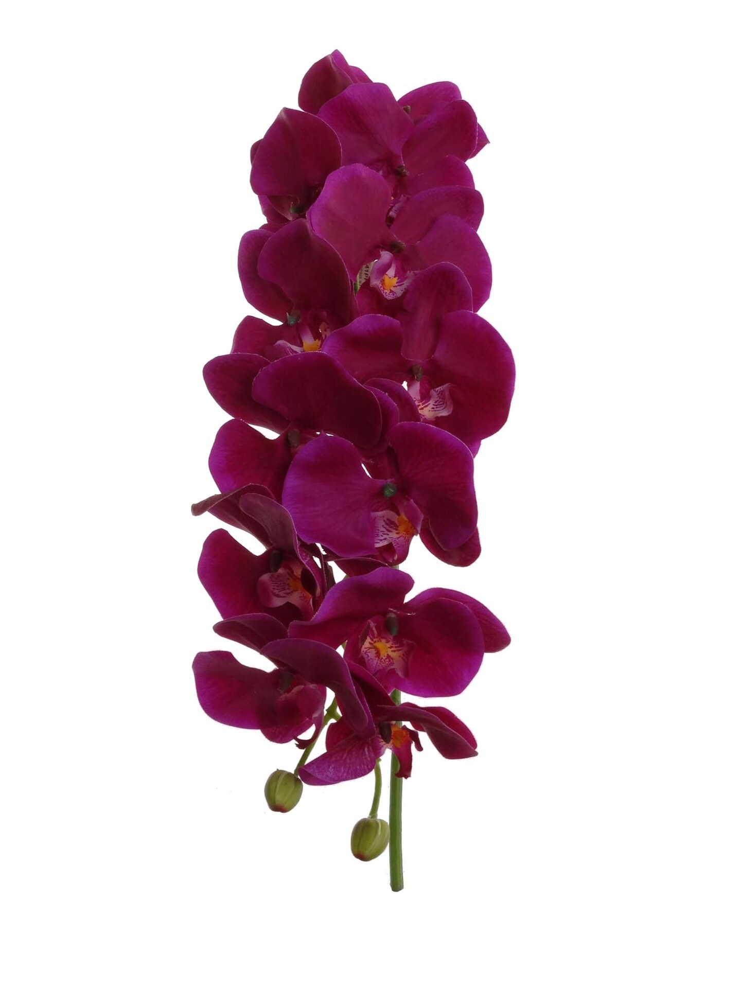 Real Touch Purple Phalaenopsis Orchid Stem, 41-Inch, 13 Realistic Silk Flowers &#x26; 2 Buds, Fake Orchids, Vase Fillers, Floral Home by Artificial Flowers