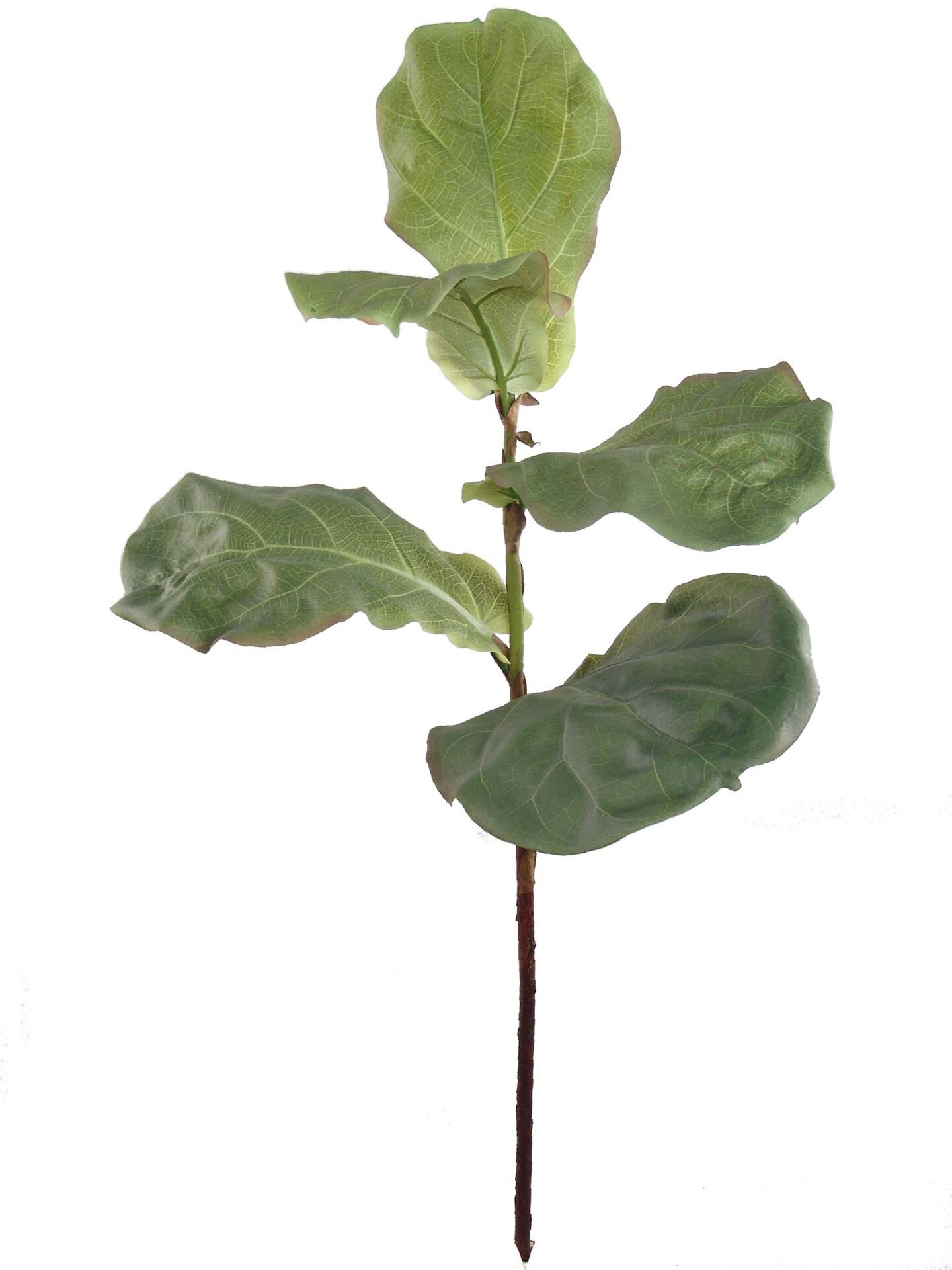 Set of 2 Fiddle Leaf Sprays 36" Tall Silk Leaves | DIY Decor for Home & Office | Floral Home®