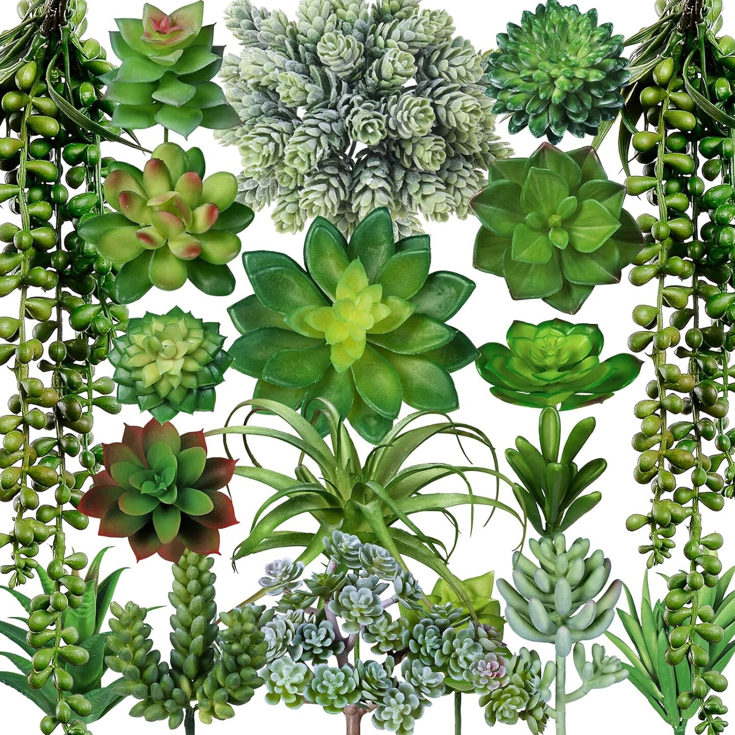 Assorted Succulent Plants for Home Decor Arrangement 19 pcs
