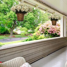 Beige Hydrangea Bush + Aerosol Flower Cleaning Spray, Floral Home by Artificial Flowers