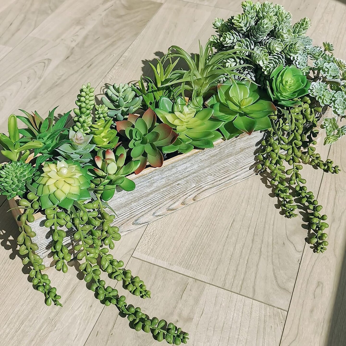 Assorted Succulent Plants for Home Decor Arrangement 19 pcs