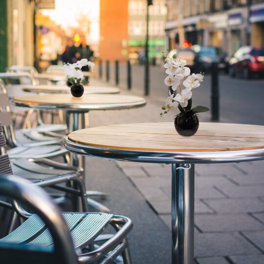 16.5" Phalaenopsis Orchid Arrangement - Black Ceramic Vase, Elegant Floral Decor, Floral Home by Artificial Flowers
