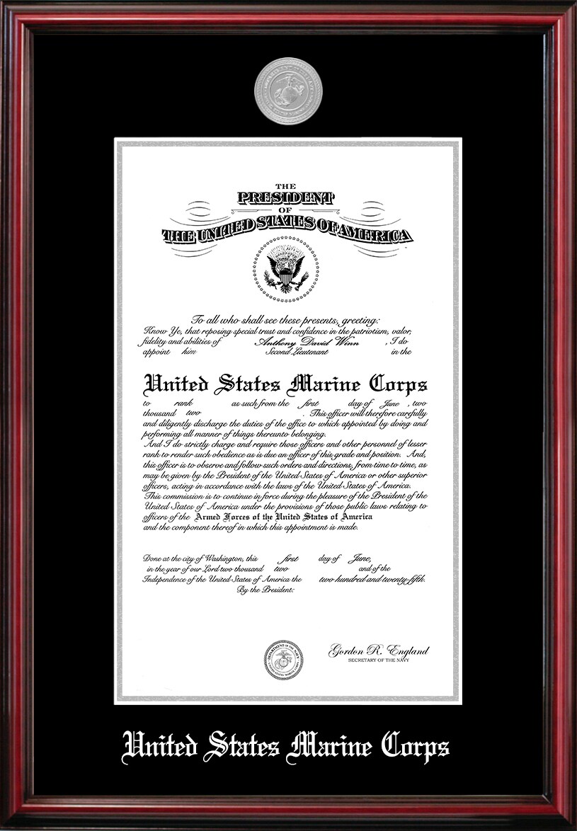 Patriot Frames Marine 10x14 Certificate Petite Frame with Silver Medallion