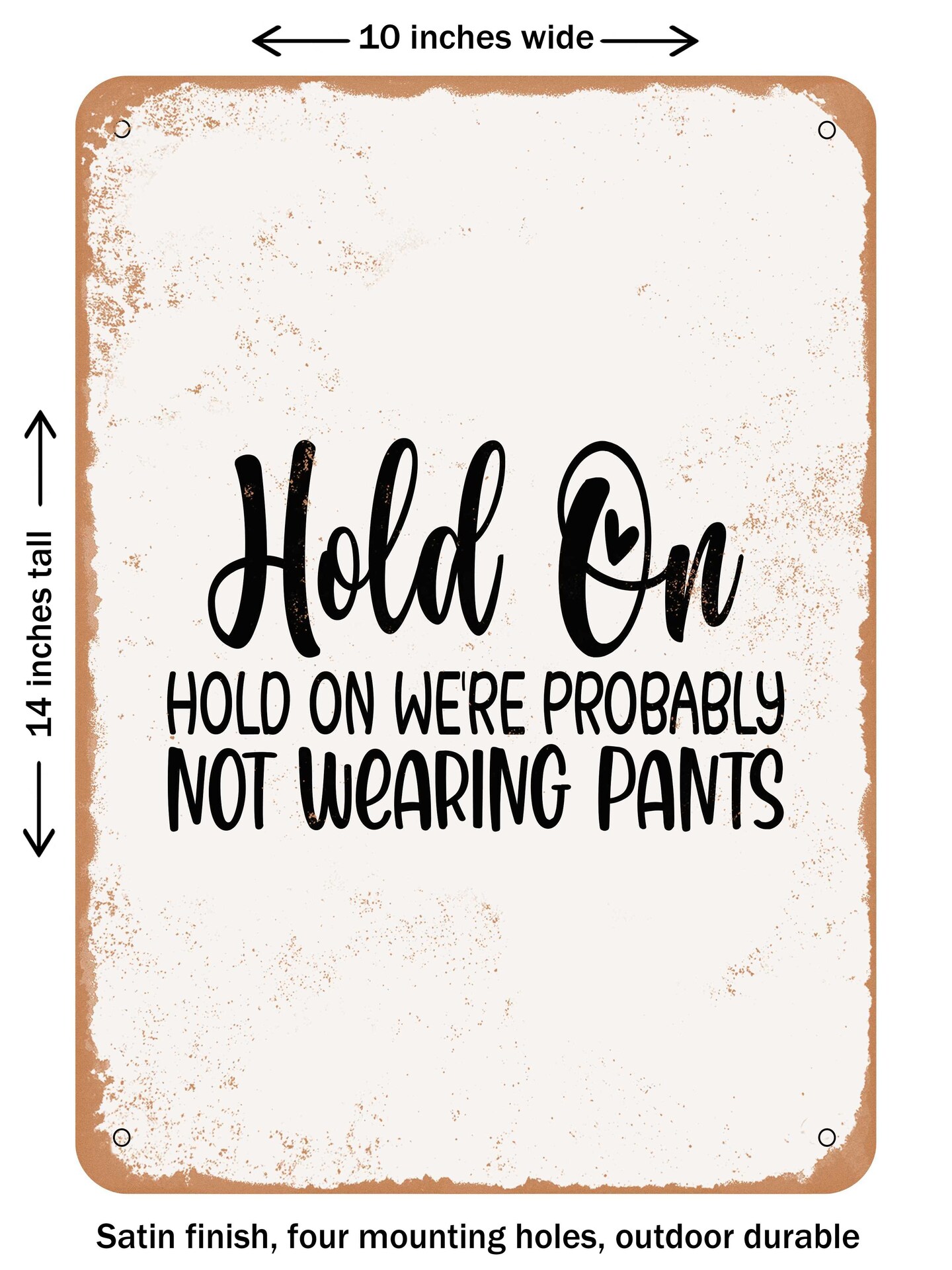 DECORATIVE METAL SIGN - Hold On Were Probably Not Wearing Pants  - Vintage Rusty Look