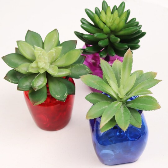 Lifelike 5.5&#x22; Artificial Succulent Crassulaceae - Realistic and Low-Maintenance Home Decor, Floral Home by Artificial Flowers