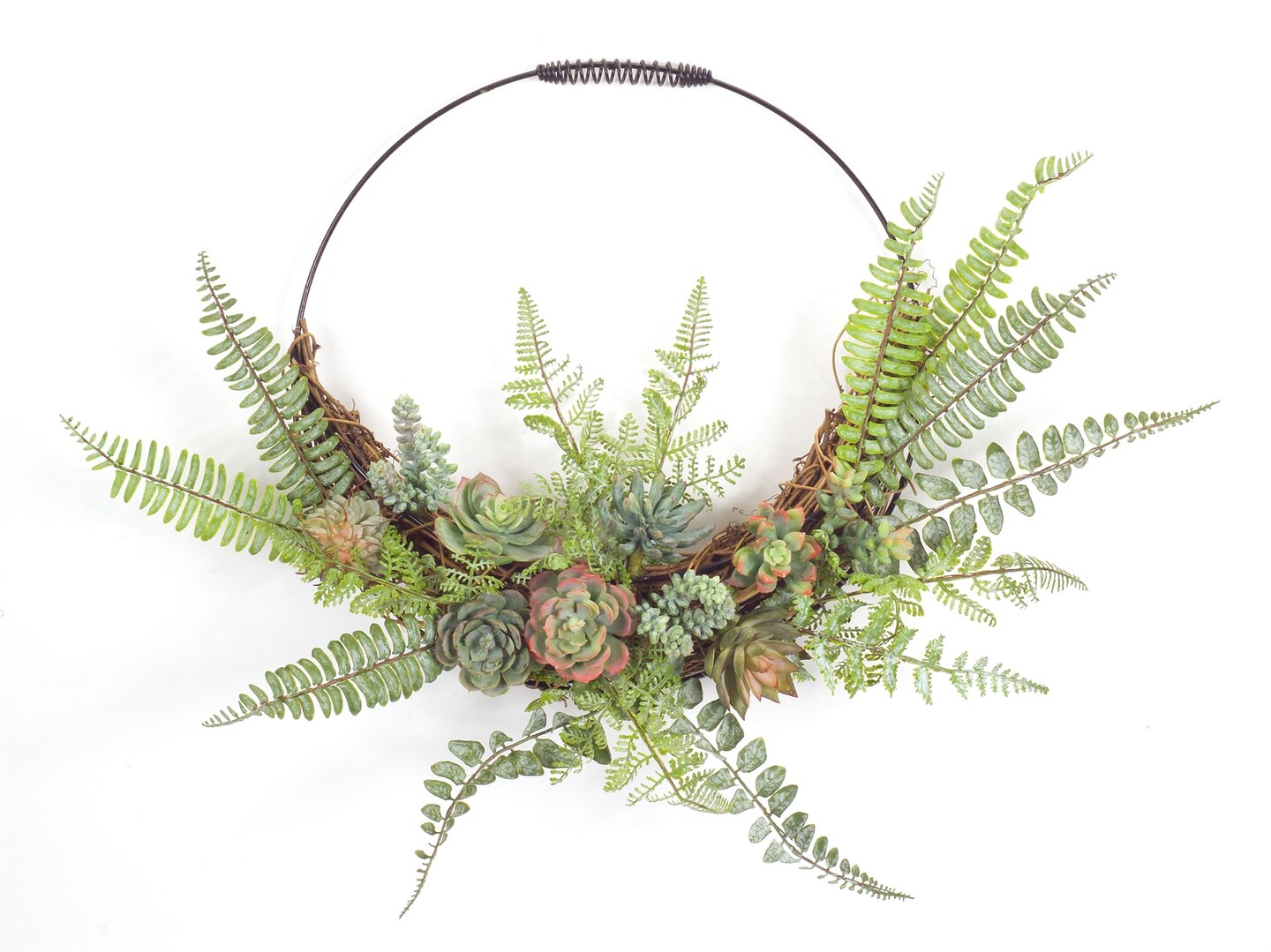 Fern and Succulent Wall Decor