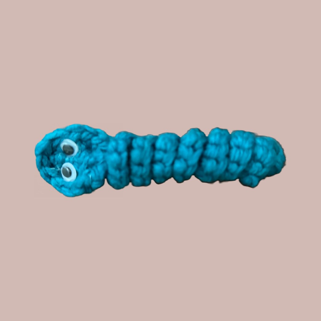 Crocheted Worm Fidget Toy, Classes