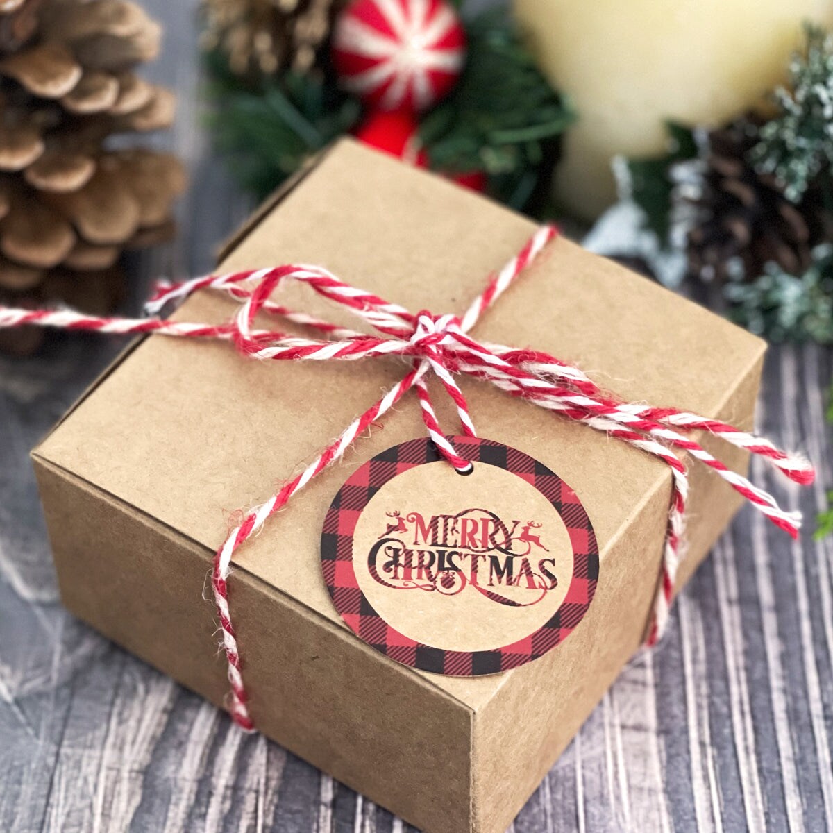 Wrapables Red Plaid Christmas Holiday Gift Tags/Kraft Paper Hang Tags with Bakers Twine and Jute String for Gift-Wrapping, Labeling, Package Decoration (120pcs)