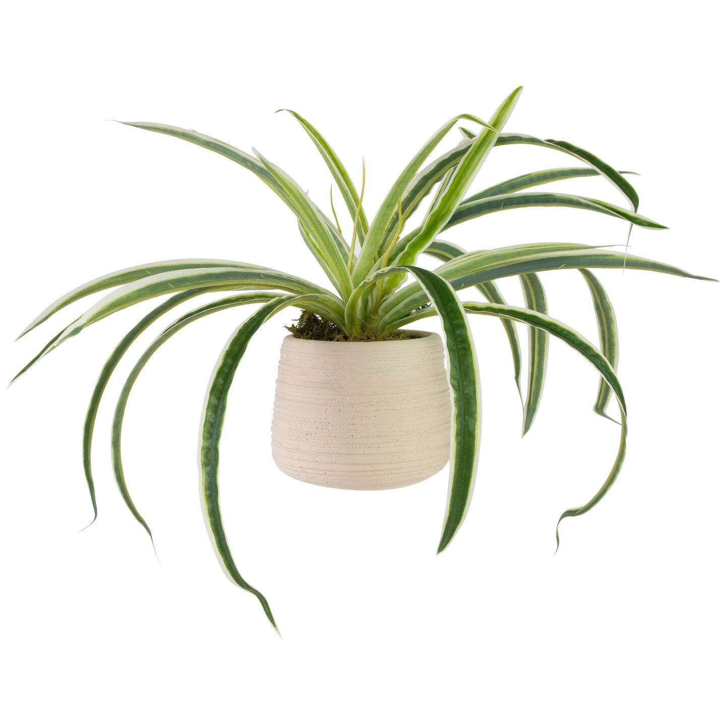 Northlight Artificial Spider Plant in Beige Ceramic Pot - 20&#x22;